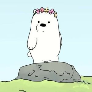 Meet your Posher, Sierra